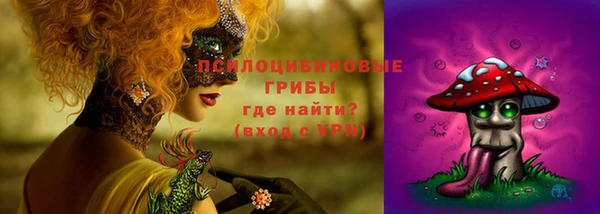 мяу мяу мука Алексеевка