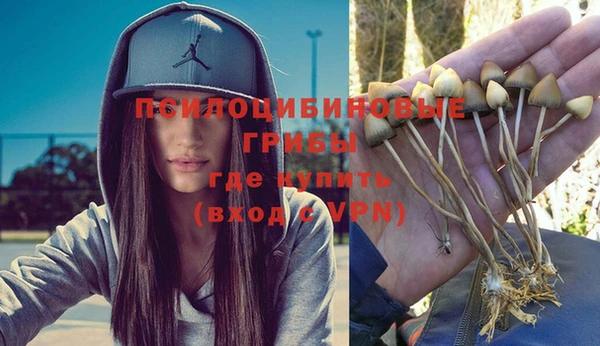 мяу мяу мука Алексеевка
