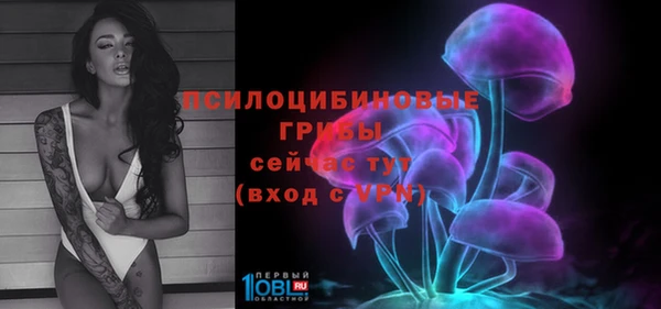 мяу мяу мука Алексеевка