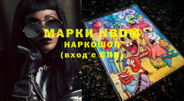 стаф Алексин