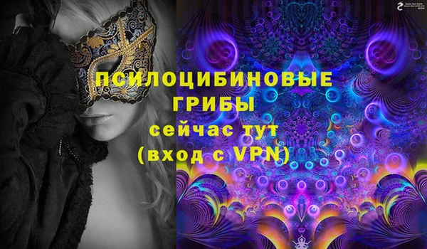 стаф Алексин