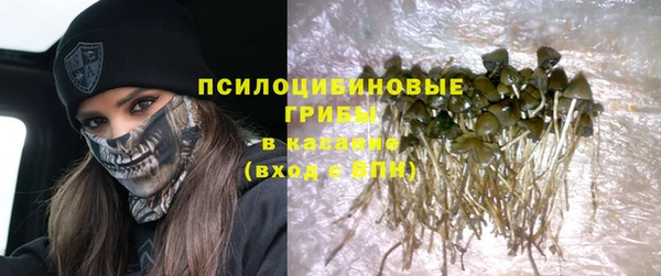 ALPHA-PVP Вяземский
