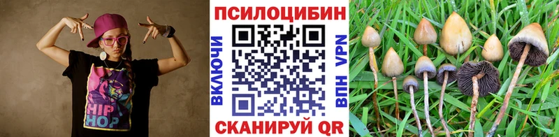 Псилоцибиновые грибы прущие грибы  сколько стоит  Бирск 