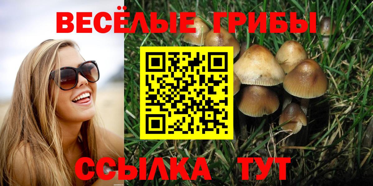 Галлюциногенные грибы ЛСД Бирск