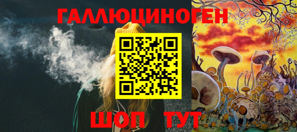 что такое   Псилоцибиновые грибы прущие грибы  Вход с VPN  Бирск 